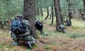 Army commando killed in ongoing Kupwara gunfight