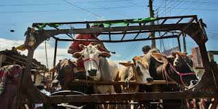 Rajasthan : Mob lynches Muslim man accused of cow smuggling