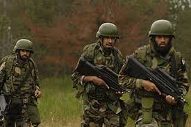 Pakistani troops to receive training at Russian military institutes