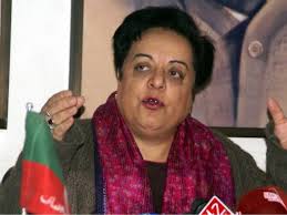 Pak govt planning proposal to resolve Kashmir conflict: Shireen Mazari