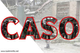 Forces launch CASO in Pulwama villages in south Kashmir