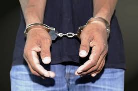 Forces arrest two brothers, father of militant in Pulwama