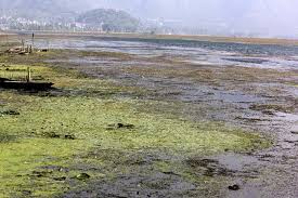 JK governor asks experts for help on Dal lake issues