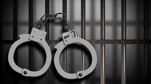 20 drug peddlers detained in J&K’s Doda: Police