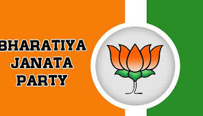 JK Polls: BJP takes 12 wards of Watergam including 11 uncontested