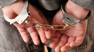 Police arrest drug peddler in south Kashmir
