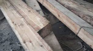 Illicit timber seized in Budgam