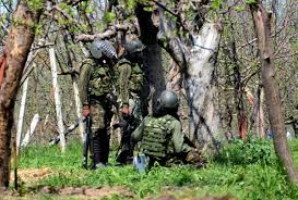 227 militants killed in Kashmir this year, 37 in November, including 9 top commanders: Report