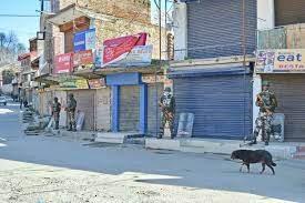 Pulwama parts shut for 4th successive day against civilian killings