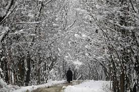 Weatherman Forecast More Rains, Snow In Valley
