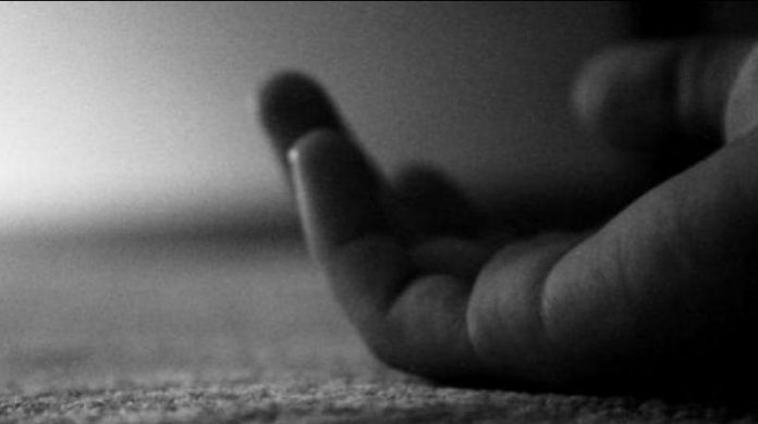 Elderly man falls from tree in Ganderbal, dies Elderly man falls from tree in Ganderbal, dies