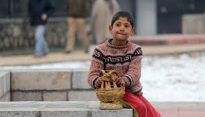 Cold wave continues to grip Kashmir valley