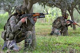 Two militants killed in brief shootout in Shopian