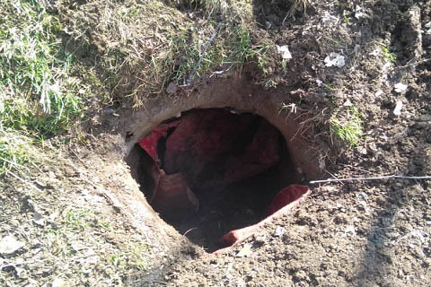 Militant hideout busted in south Kashmir’s Shopian