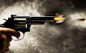 Two pharmacists shot at in Shopian, hospitalized