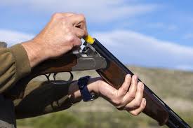 Deposit guns at police stations before March 15, SSP Ganderbal to people