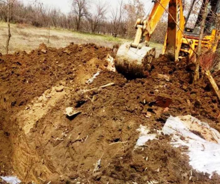Militant hideout busted in south Kashmir’s Shopian: Police