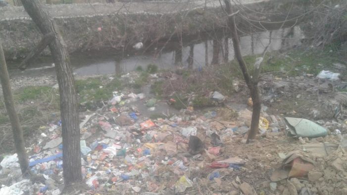Parganlar Tral irrigation canal under threat due to pollution ,Authorities assure action