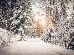 Novel device creates electricity from snowfall