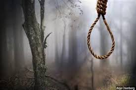 Teenage girl found hanged in orchard in Anantnag village