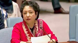 Maleeha Lodhi elected as vice president of UN’s economic arm