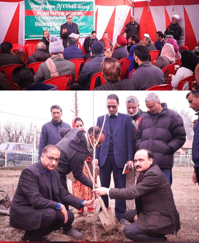 Director Horticulture distributed plants Under Backyard Horticulture Scheme
