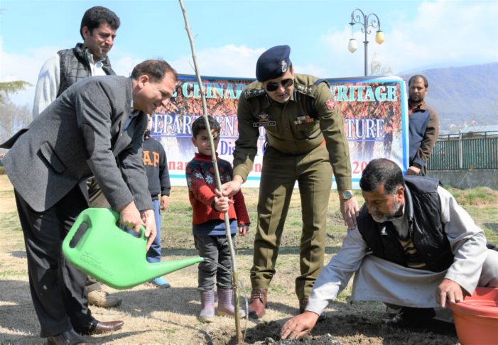 Chinar plantation drive at Qamaria park Ganderbal