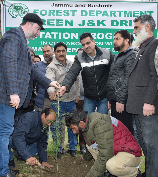 Forest Deptt. conducts plantation drive at Media Complex, Sgr