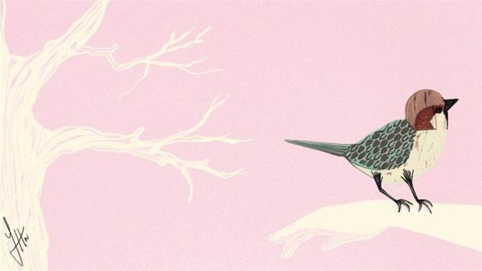 My mother the sparrow: Lessons from a humble mother