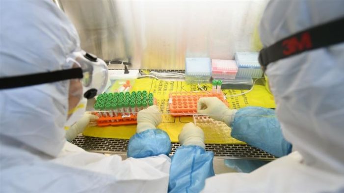 Coronavirus origin: Few leads, many theories in hunt for source