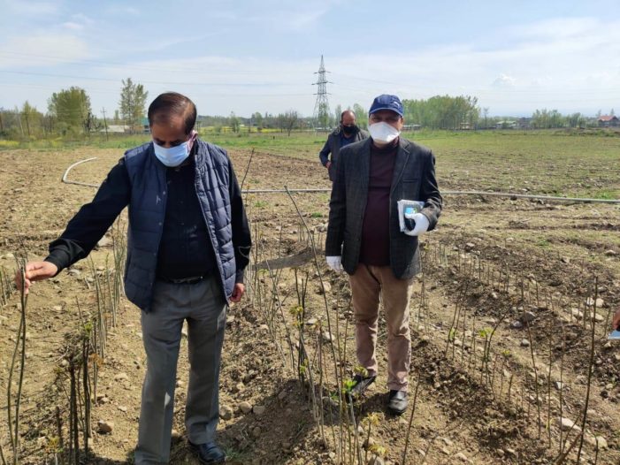 Director Horticulture Kashmir visits Centre of Excellence at Zawoora
