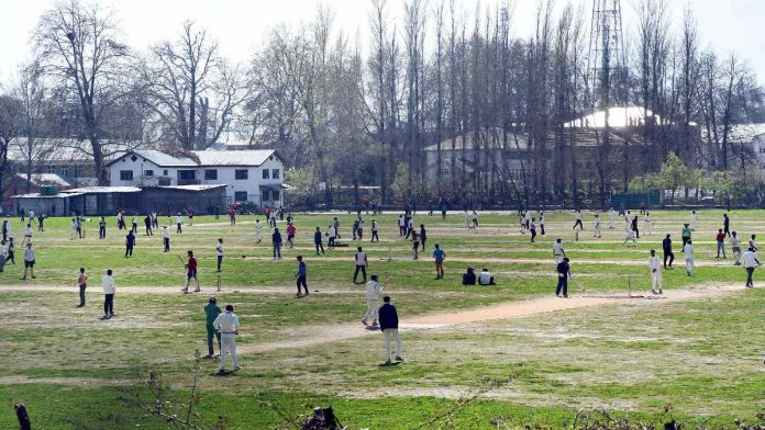 J&K High court stays cutting down distinctive 16-20 million Russian poplar trees