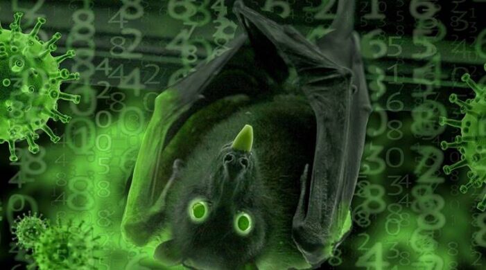 Virus leak claims false, bat coronavirus strains being studied weren’t COVID-19: Wuhan lab
