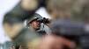 Army proposes 3-year voluntary ‘tour of duty’, cites patriotism, unemployment