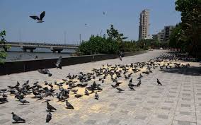 30 cities should have maximum restrictions in lockdown 4.0: Official