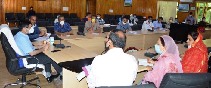 Kanihama to be developed as ‘Handloom Village’: DC Budgam