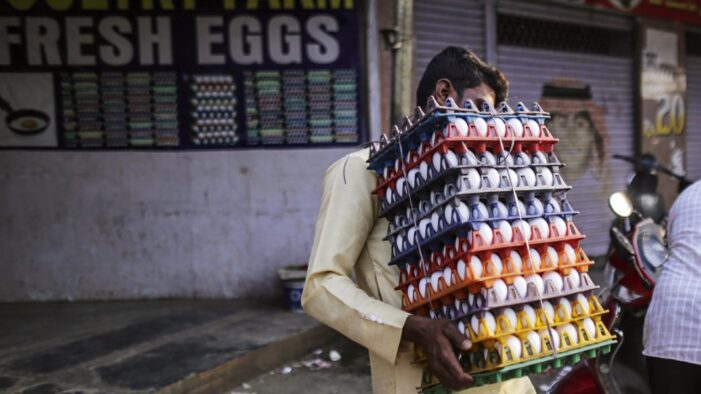 Poultry revival begins but industry faces ‘doom’ with Rs 30,000-crore loss this year