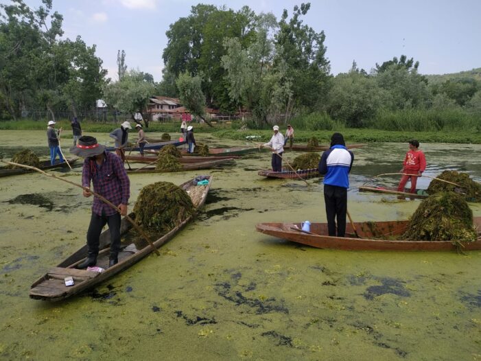 De-weeding and Skimming operation on full swing in Nigeen Lake
