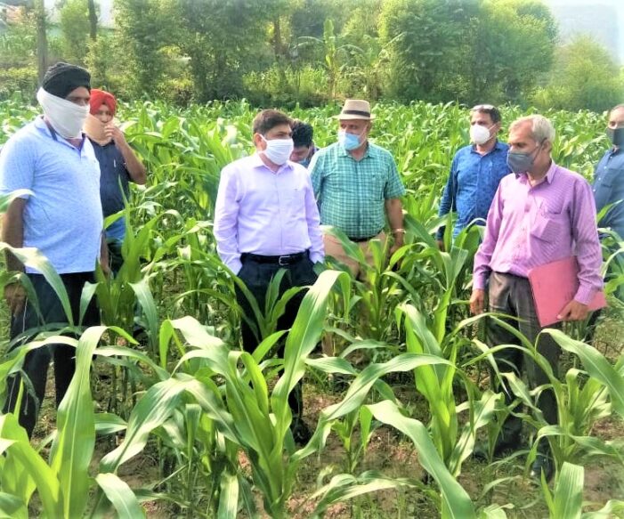 Director Agri reviews field activities, farmer welfare schemes across Poonch District