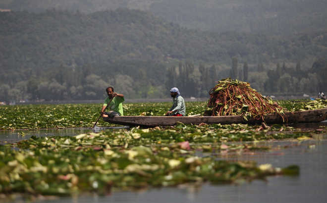 ‘Save Dal Lake’ initiative on hold as Kashmir’s pride heads to slow death