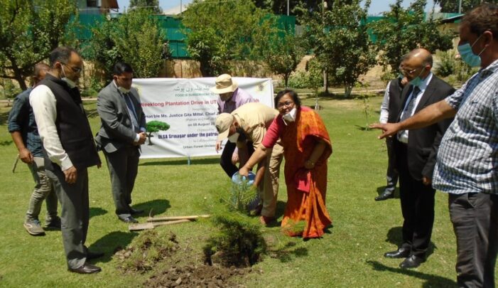 Chief Justice launches annual week long plantation drive by J&K SLSA