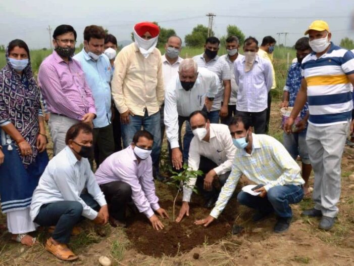 Director Horticulture tours Akhnoor, Khour area to inspect activities of department
