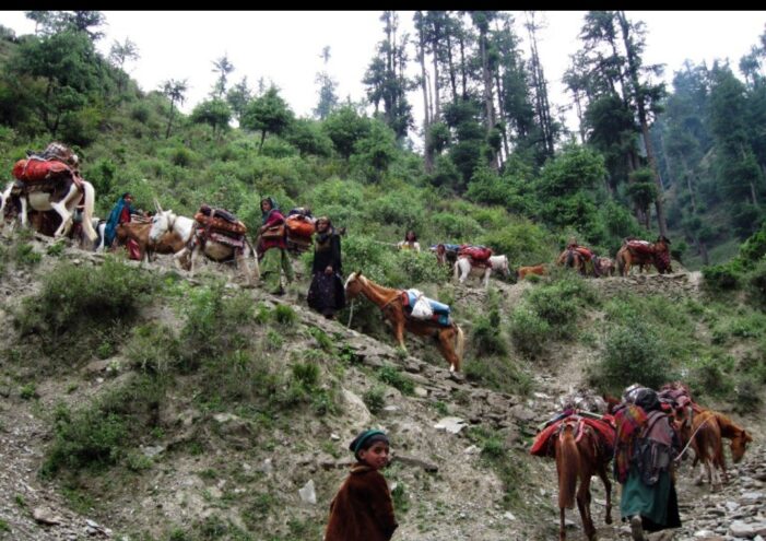 Tension in Batote after forest officials attempt to raze Gujjar homes, 18 injured