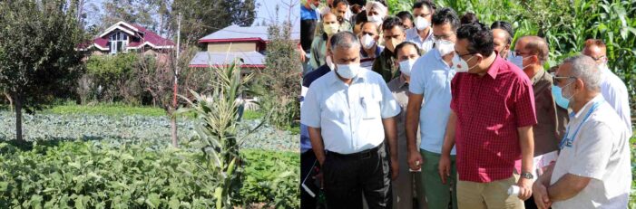 Navin Choudhary visits Vegetable Cluster Baramulla
