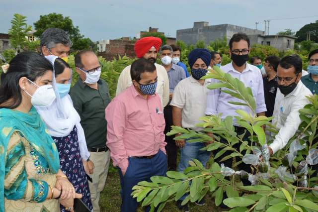 Director Horticulture reviews MIDH achievements in Jammu, Kathua, Samba