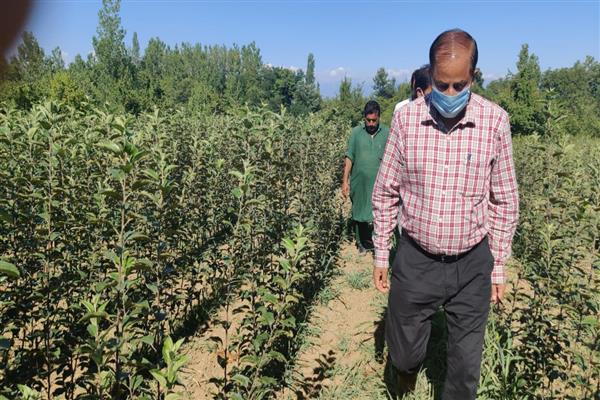 K.K Sharma reviews Apple High Density Programme