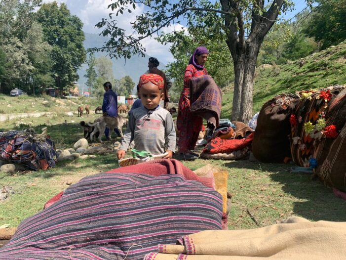 Shepherds moving out of meadows of Sonmarg due to growing tension