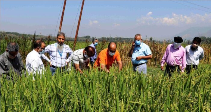 Director Agriculture visits SMF Padgampora to assess crop status