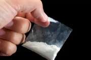 Large Quantity of Narcotics Seized as BSF Foiled Infiltration Bid Along IB in Jammu