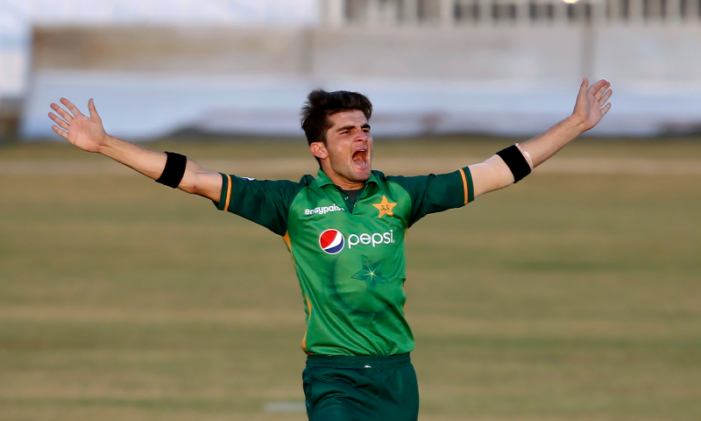 Pakistan win 1st ODI by 26 runs as Zimbabwe bundle out for 255